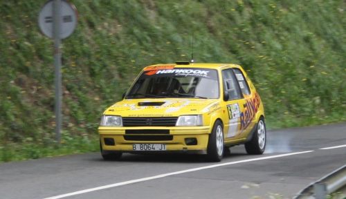 I Rallye Lea Artibai. Peugeot 205 GTI